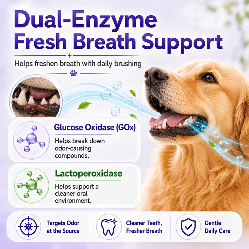 6% nHA Dual-Enzyme Pet Toothpaste for Dogs & Cats, Sensitive Teeth, 3.52oz | Gentle Enamel Care. Gum Comfort. Smooth Brushing Feel. Daily Fresh Breath Support. 3.52 Ounce (Pack of 1)