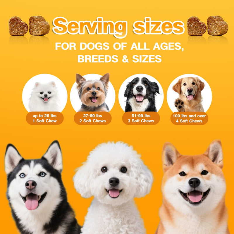 Dog Skin & Coat Chews 120 Count – Omega 3, 6 & 9 + Linoleic Acid & Vitamin E for Itching, Shedding & Allergy Relief, Dry Skin Support, Beef Flavor, All Breeds & Ages