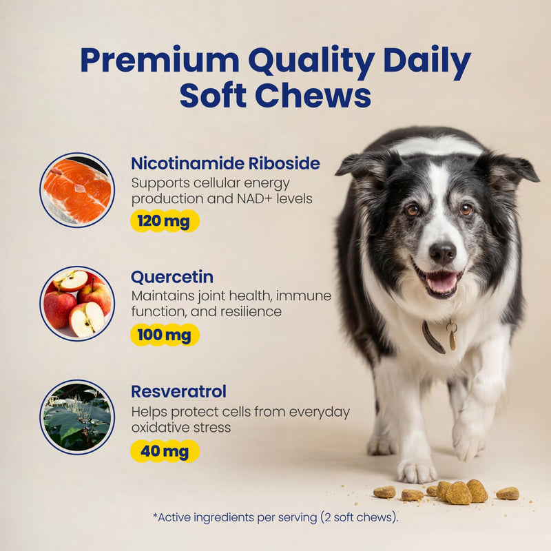 NAD+ Precursor & Senior Dog Supplement - 90 Soft Chews - NMN Alternative for Longevity & Healthy Aging - Nicotinamide Riboside, Resveratrol, Quercetin - Filet Mignon Steak Flavor Filet Mignon Steak & Beef