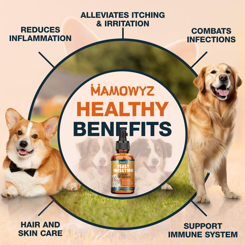 Dog Yeast Infection Treatment for Dogs - Natural Herbal Supplement for Itchy Skin Relief, Coat Support, Inflammation Reduction & Immune Booster - 60ml Yeast Drops for Dogs (Bacon Flavor)