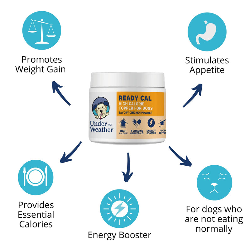 Ready Cal Powder for Cats | High-Calorie, Weight Gainer, Appetite Stimulant, Energy Booster Pet Suppliment | 20 Scoops (Scoop Included) For Cats - Ready Cal Powder - PawsPlanet Australia