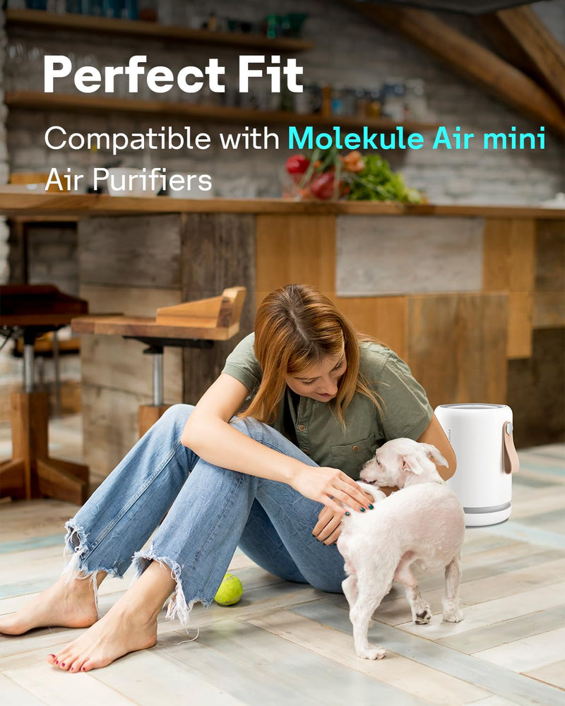 Leemone PECO-HEPA Replacement Filter for Molekule Mini/Mini+, 2 Pack air mini 2-pack