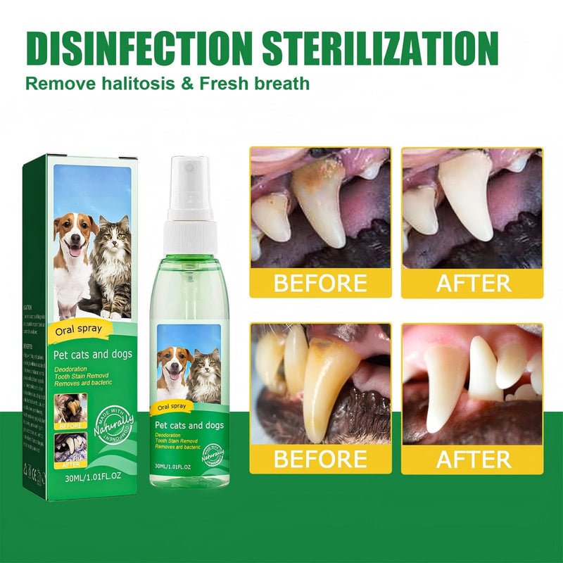 JoanofArc Dog Dental Care Spray - Oral Care Spray for Dogs - Teeth Cleaning Spray - Freshen Breath for Pet Cats and Dogs, Reduce Plaque & Tartar, Support Clean Teeth, No Brushing, 30ml/1.01 Fl Oz