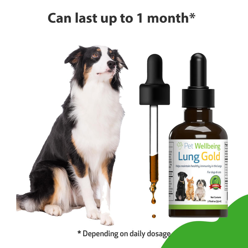 Pet Wellbeing Lung Gold for Dogs - Lung Immune Support, Lower Respiratory Health, Open Airways, Normal Breathing, Reishi, Coptis - Veterinarian-Formulated Herbal Supplement 2 oz (59 ml) 2 fl oz (59 ml)
