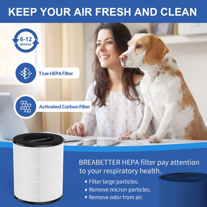 1-Pack mod/mod+ Filter Replacement Compatible with Mod Purifier（Model MD01） Filter