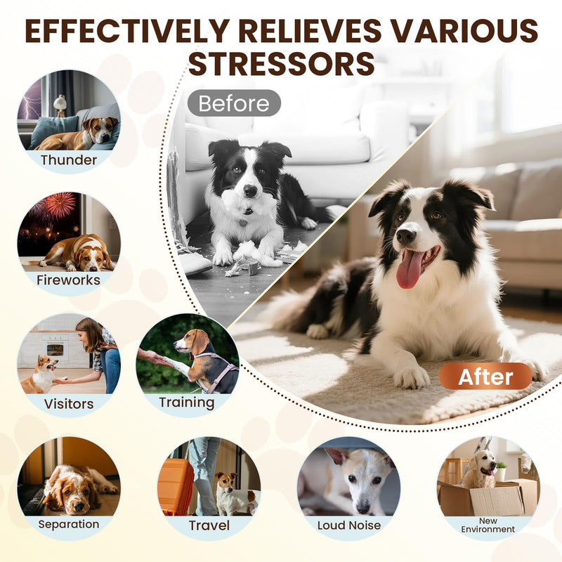 Dog Pheromones Calming Diffuser to Calm Dogs 4 IN 1 Kit (2 Diffusers+2 Refills) Pheromone Plug In for Stress Barking Pee Accidents Chewing Aggression Separation Anxiety Relief 60 Days(Odorless) Odorless