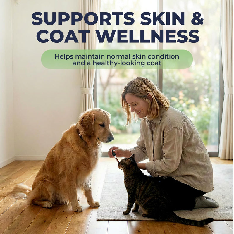 Stinging Nettle Leaf Drops for Dogs & Cats, Liquid Pet Supplement for Skin Comfort & Coat Health, Sensitive Skin Support During Seasonal Changes, Sugar & Alcohol Free Formula, 2 fl oz