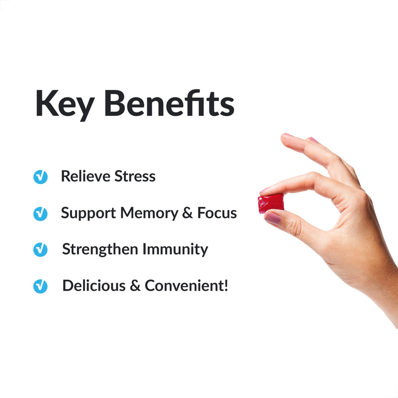 Force Factor Amazing Ashwa for Stress Relief + Better Turmeric Joint Support + Total Beets Heart-Healthy Energy Soft Chews (60 Chews Each) - PawsPlanet Australia