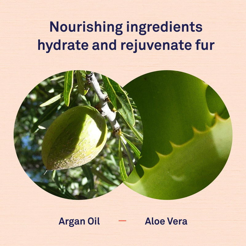 Petpost | Waterless Argan Shampoo Spray for Dogs with Sensitive Skin - Naturally Nourishing Coat Cleaner & Deodorizer for Healthier, Shinier Fur - Rinse Free Formula 8 oz. 8 oz. - PawsPlanet Australia