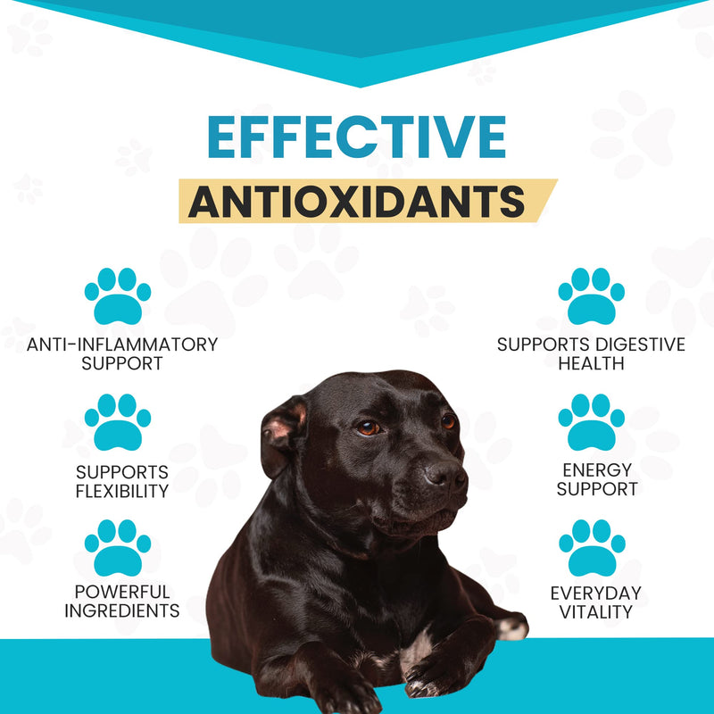 Wanderfound Pets 10-in-1 Dog Multivitamin, Chewable Dog Vitamins with Glucosamine, D3, and MSM, Dog Health Supplies for Immune System and Joint Health, Liver Flavor, 60 Tablets - PawsPlanet Australia