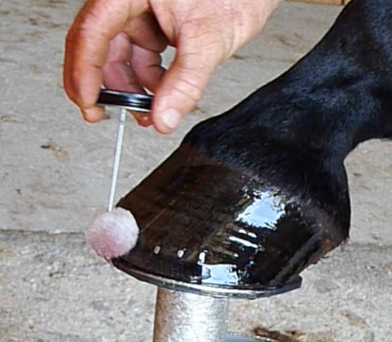 SBS Equine Item 307 hoof Treatment, Brush-on Size - PawsPlanet Australia