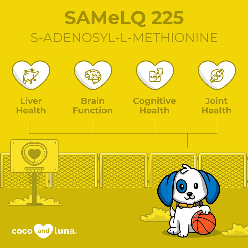 SAMe for Dogs - S-Adenosyl-L-Methionine, Liver Supplements for Dogs - Brain Supplement for Dogs, Promotes Cognitive Support, Liver Support Supplement Tablets