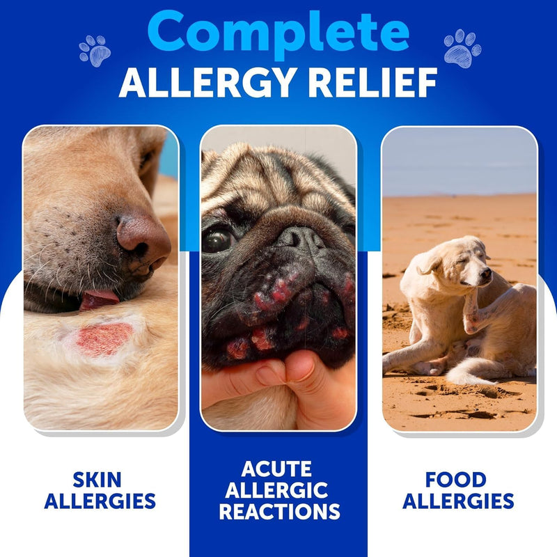 Dog Allergy Relief Chews - Itching Skin Relief for Dogs - Fish Oil - Omega 3 - Seasonal Allergies Pills - Skin & Coat, Anti Itch, Hot Spots Treatment - Canine Immune Health Supplement - 70 Soft Treats 70 Treats