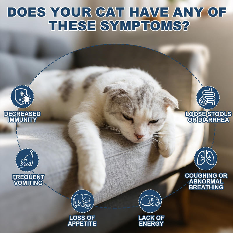 lvermect for Cat – Easy Daily Liquid Support for Cats, Dewomax for Digestive Balance and Internal Care, Gentle Formula for Kittens & Adult Cats, Easy to Administer - 100mL