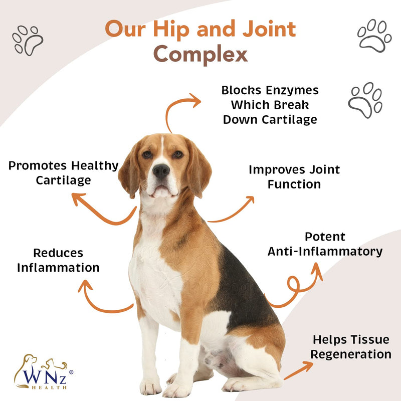 Turmeric Hip and Joint Chews for Dogs, Dog Chews for Mobility Support, Cartilage Health & Dog Joint Pain Relief, Anti-Inflammatory MSM, Glucosamine and Chondroitin for Dogs, 90 Chews, 8 Oz - PawsPlanet Australia