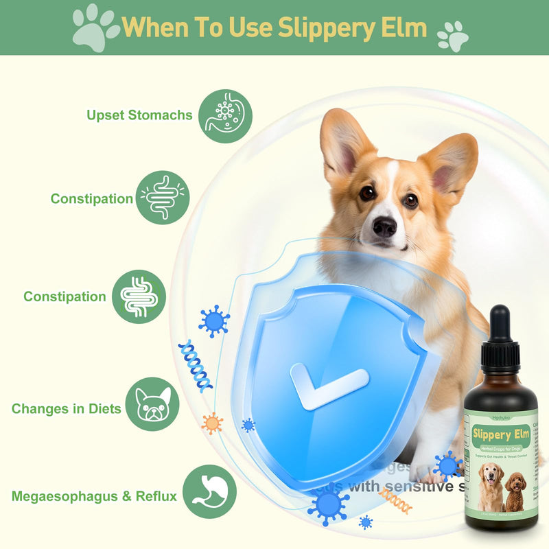 Slippery Elm for Dogs, Organic Slippery Elm Inner Bark Extract Drops for Sensitive Stomach Dogs, Support Digestive Tract Gut Lining Throat Health Bowel Function, Herbal Liquid Formula 2 Fl Oz
