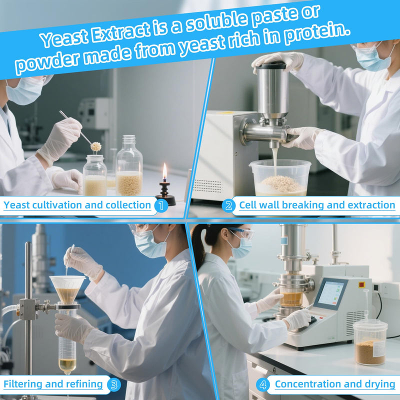 Yeast Extract Medium, Industrial Grade Nutrient Culture Medium, Yeast Extract Media Powder for Laboratory Bacterial Culture, Mycology, 500g/Bottle(1.1 lb.) Yeast Extract, 500g 1