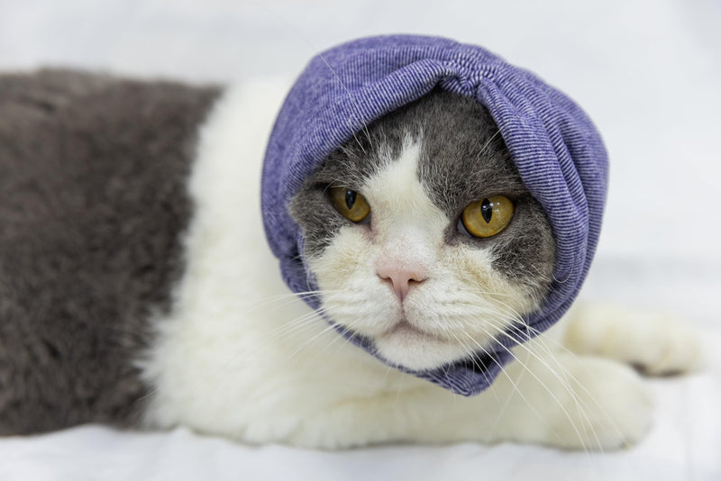 Cat Hematoma Ear Wrap,Noise Cancelling Calming Anxiety & Stress Relief - Ear Cover for cat Purple S Small