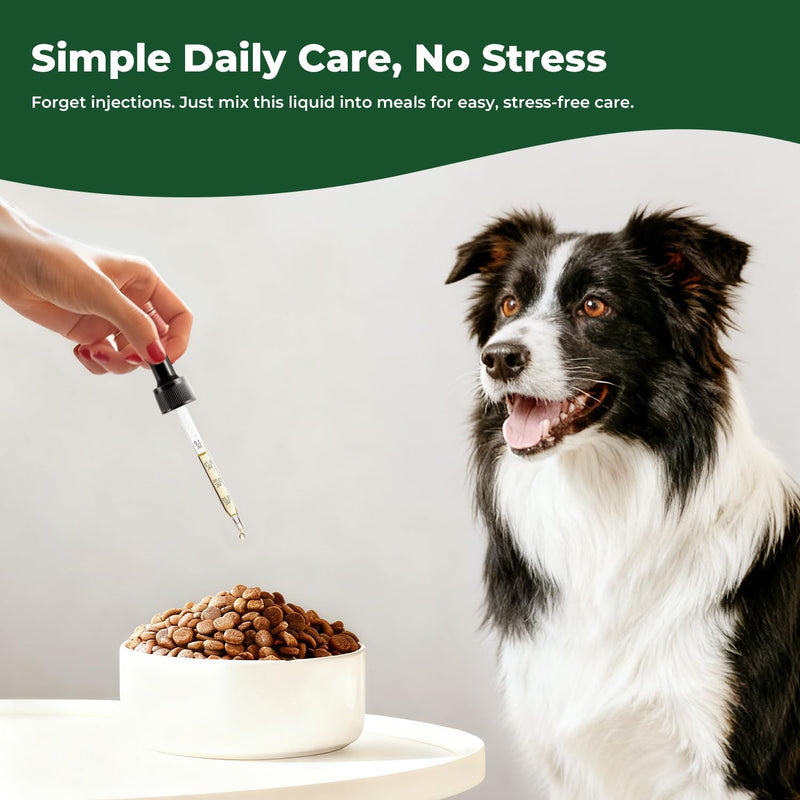 Oregano Oil for Dogs Drops, Organic Oil of Oregano in Extra Virgin Olive Oil, Mediterranean Wild Oregano, Immune and Digestive Support, Easy-to-Use Dropper, 2 fl oz