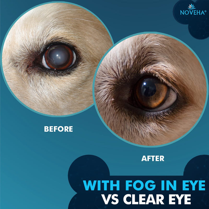 NOVEHA Cataract Drops for Pets | Advanced Lanosterol Solution + NAC | Therapeutic Eye Lubricating Drop for Dog & Cats | Improve Vision Clarity, Health & Dryness, Pink Relief in Animals (3 x 10 mL) - PawsPlanet Australia