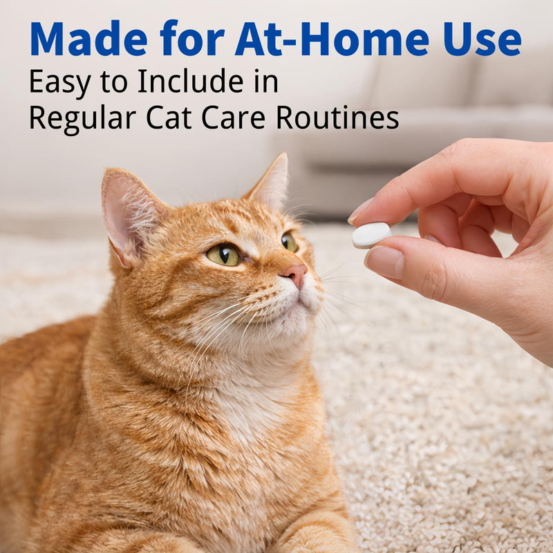 Dewormer for Cats 6 Weeks and Older, 22.2% (222 mg/g) Tablets, Fenbendazole, Cat-Specific Formula, Easy at-Home Use