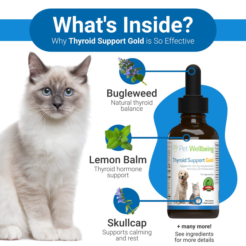 Pet Wellbeing Herbal Thyroid Support for Cats - Hyperthyroidism in Cats + Healthy Thyroid + Normal Appetite & Thirst + Healthy Coat - Liquid Supplement with Lemon Balm, Rehmannia root, Skullcap - 2 oz - PawsPlanet Australia