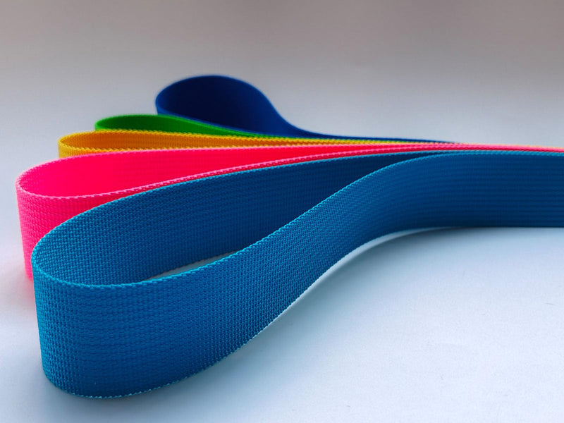 1 Inch Nylon Webbing 6 Yards 20 Yards 22 Yards 24 Yards Durable Flat Nylon Strap for Backpack Cargo Strap Pet Leash or Collar Craft Blue 6.0 Yards