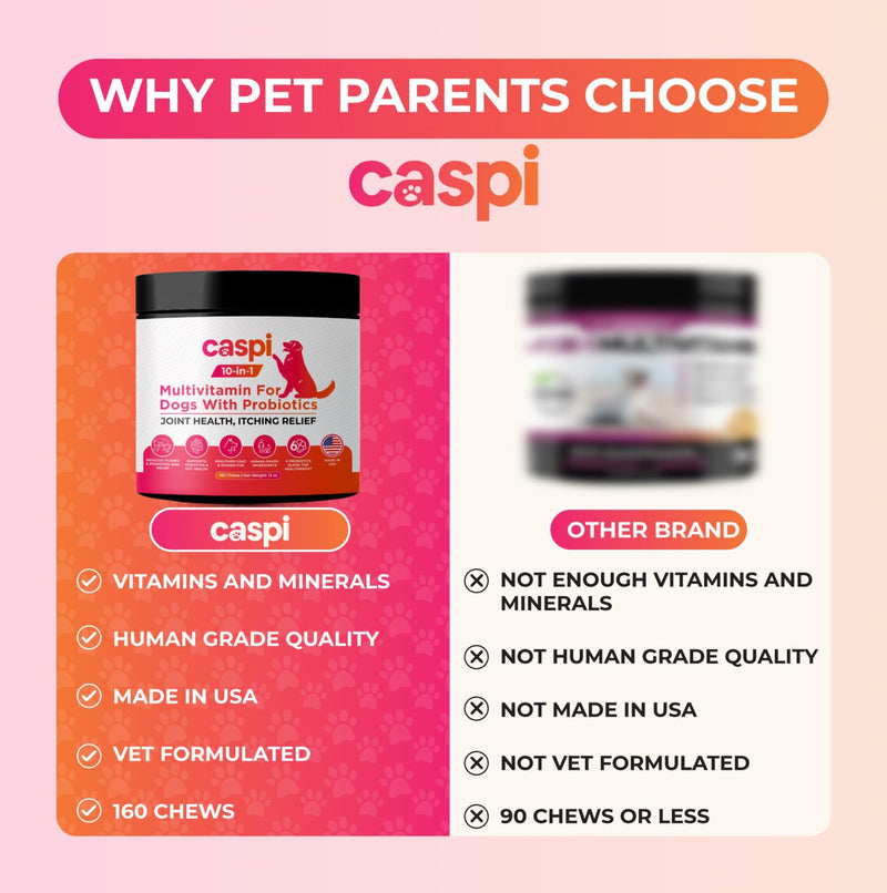 Caspi 10-in-1 Dog Multivitamin with Probiotics – Joint Health, Itching & Skin Relief, Omega-3 Salmon Oil, Glucosamine, Vitamins & Minerals – Daily Chew Supplement for Dogs – 160 Soft Chews