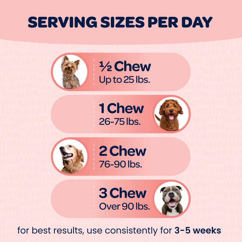Hip and Joint Chews for Dogs | Dog Glucosamine Chews for Comfort & Mobility with Chondroitin MSM & Turmeric | Dog Joint Supplement for All Ages & Sizes | NASC Certified & Made in The USA | 90 Chews Hip and Joint 90 Count