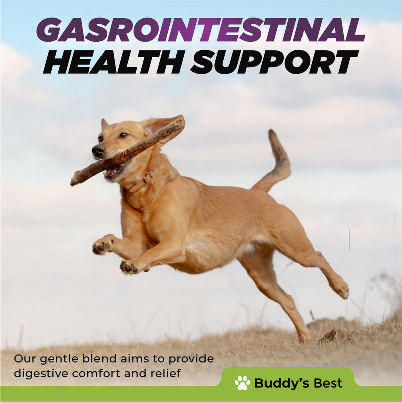 Digestive Aid for Dogs | Soothing & Anti-Inflammatory Blend with Dandelion, Slippery Elm & Marshmallow Root for Optimal Gastrointestinal Health - PawsPlanet Australia