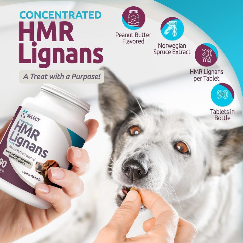 K9 Select HMR Lignans for Dogs - Enhancer for Overall Wellness, Immune Support for Dogs - Norway Spruce Extract Holistic Dog Health - Digestion, & Coat Care - Peanut Butter, 20mg, 90 Tablets - PawsPlanet Australia