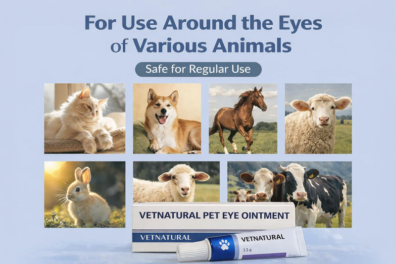 Pet Eye Health for Dogs, Cats, Cattle, Sheep, Horses Birds and Puppies, Kitten - 1 Tube, Sterile, 3.5g Tube, for Animal Use