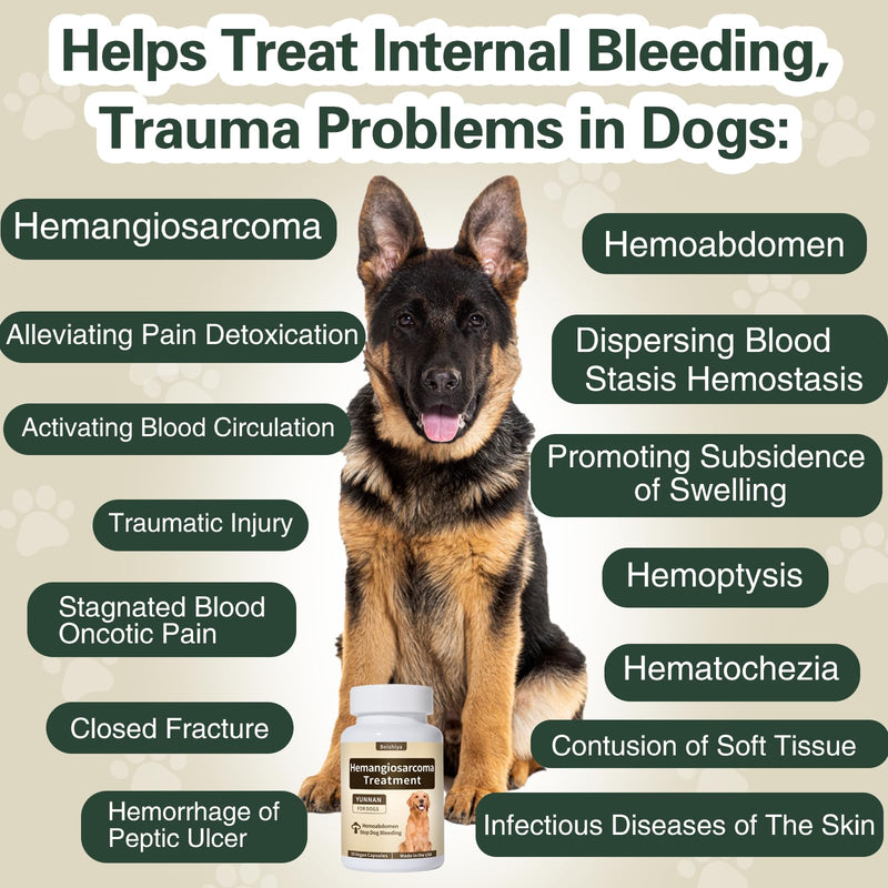 Yunnan Sanqi Capsules for Dogs, Support Stop Bleeding, Hemangiosarcoma, Hemoabdomen, Pericardial Effusion, Cancer Bleeding, Severe Bruising, Ulcer-Related Bleeding, 90 Capsules