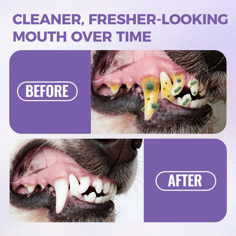 Milolabco Advanced Dental Spray, Dentaclean for Dogs & Cats, Probiotic Oral Care Spray for Fresh Breath, Helps Support Clean Teeth & Healthy Gums - No Brushing (1 Pack)