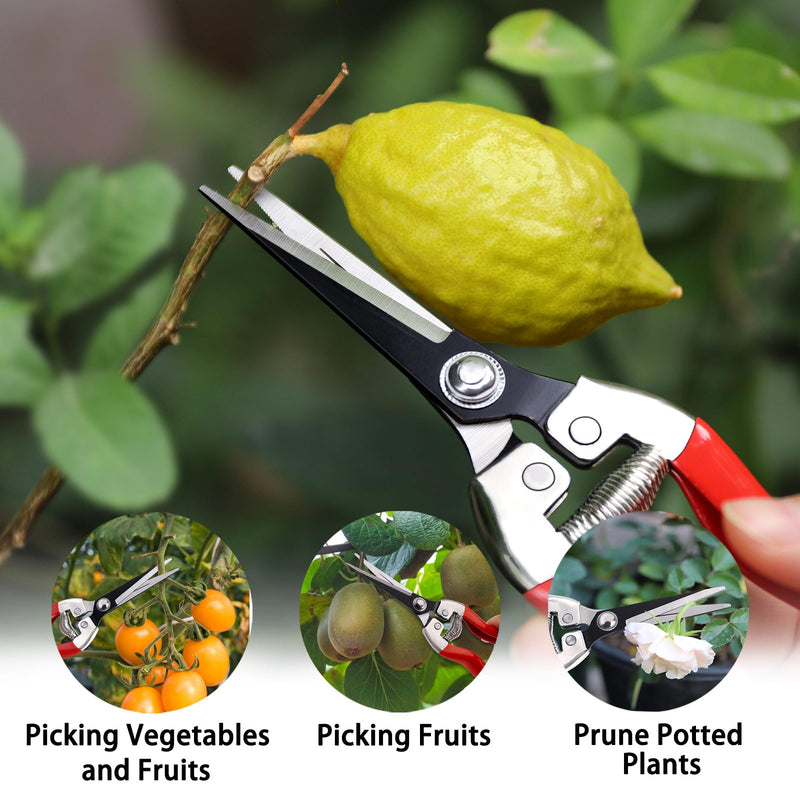 Kynup 3Pack Pruning Shears, Garden Shears, Pruning Shears for Gardening, Gardening Shears, Garden Scissors, Garden Clippers, Gardening Tools with Gloves, Stainless Steel, Soft Grip Handle