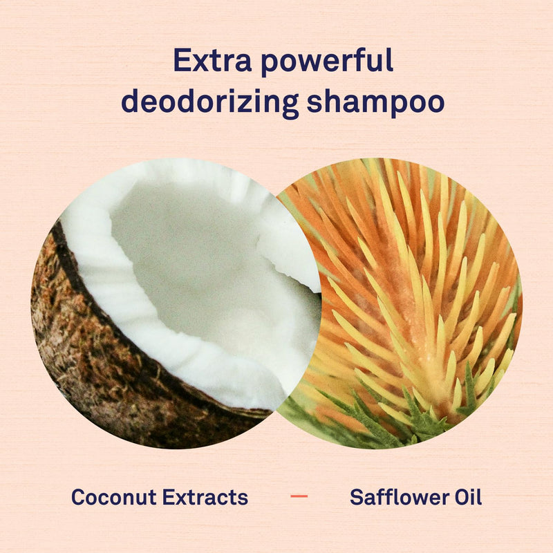 Petpost | Skunk Odor Shampoo for Dogs - Naturally Effective Deodorant Shampoo and Bad Smell Killer - Skunk Shampoo for Dogs or Cats 16 oz. 16oz. - PawsPlanet Australia