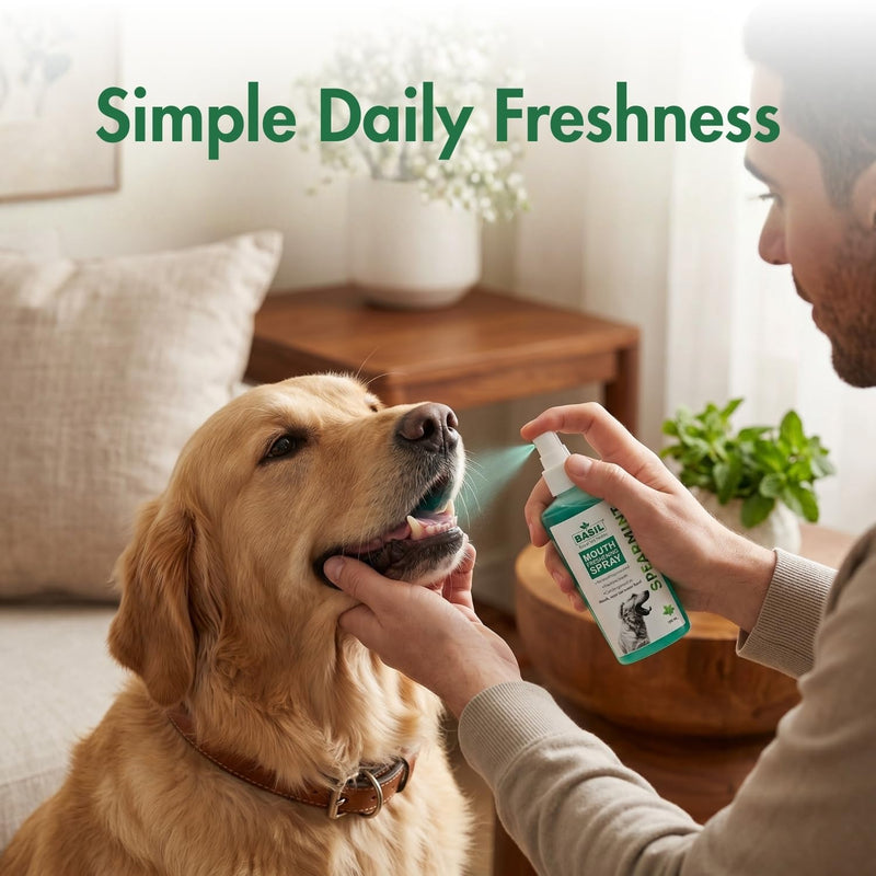 BASIL Dog Dental Spray for Teeth Cleaning & Bad Breath | Spearmint Fresh Breath for Dogs | Teeth and Gum Care | Easy-to-Use Pet Dental Spray for Everyday Use - (4.4 oz)
