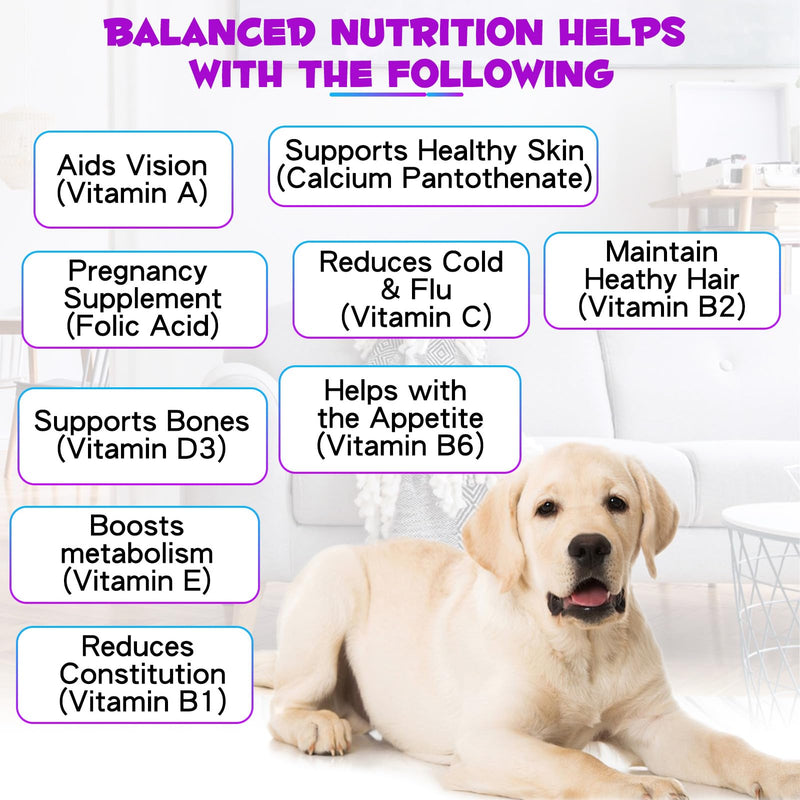 15 in 1 Dog Multivitamin, All-in-One Multi Liquid Multivitamin for Dogs, Dog Vitamins and Supplement with Digestive, Immunity, Allergy Skin & Coat Support, Hip & Joint, All Ages, Breeds 2 oz 60ml - PawsPlanet Australia