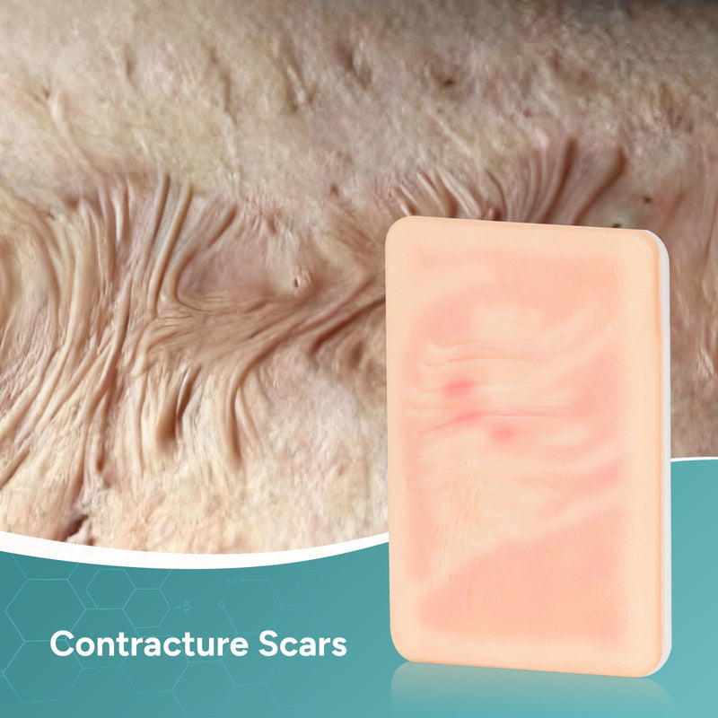 Wound Packing Trainer, Atrophic Scar Model for Medical Education, Wound Care Demonstrations Tool, 3PCS