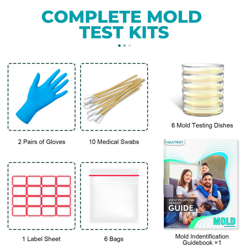 Mold Test Kit for Home: 6 Simple Mold Detector with Detailed Identific ...