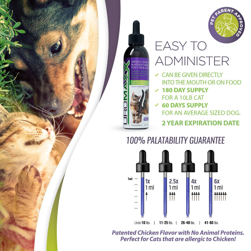 UroMAXX Urinary Tract, Kidney & Bladder Formula for Cats and Dogs, 6 oz Bottle 1 Bottle - PawsPlanet Australia