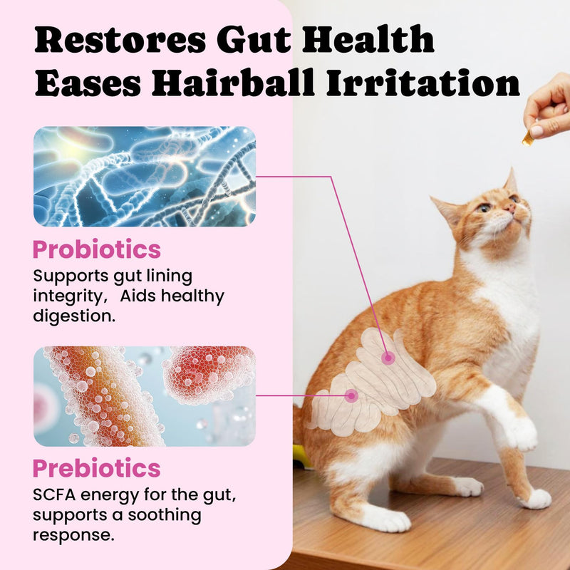 Hairball & Eye Care Bundle for Cats – Hairball Remedy Treats + Eye Cleaning Wipes