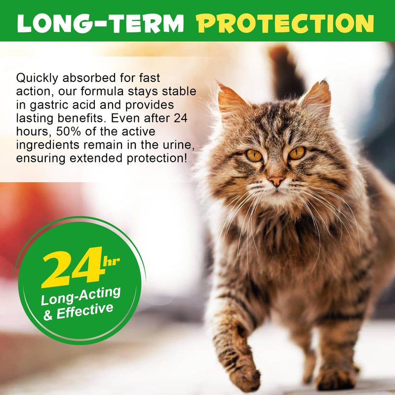Antibiotics for Cats, Natural Antibiotics for Cats, Cat Antibiotics for Infection Supports Immune & Cats Allergy Relief, Cat Multivitamin UTI Drops Natural Supplement for All Ages & Breeds-2PCS