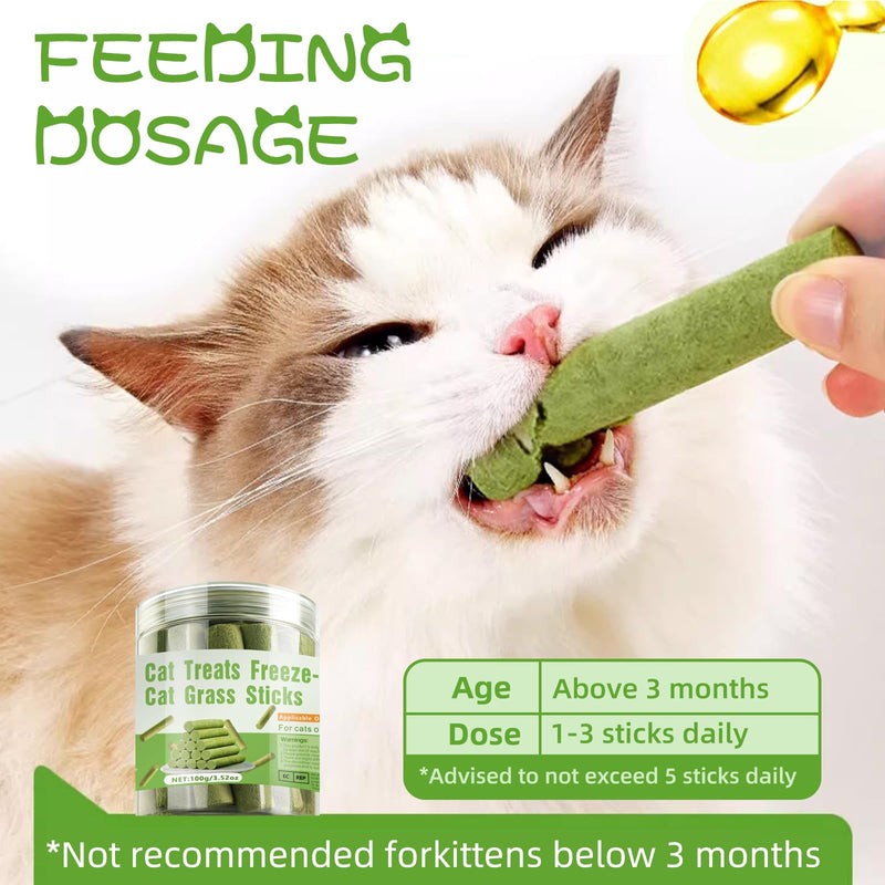 Cat Natural Grass Teething Sticks 100g, Kitten Chew Stick for Hairball Removal, Dental Care, Increase Appetite, Catnip Toys Cat Nip Treat Toys Edible Kitty Toys for Indoor Kittens (Medium, catnip) 1 Ounce (Pack of 1)