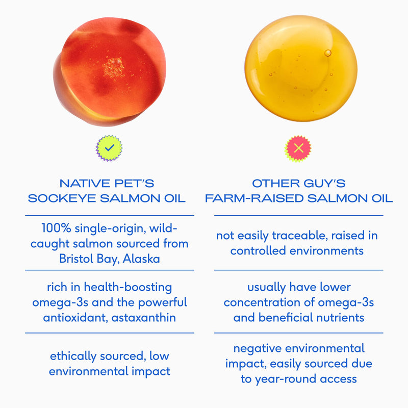 Native Pet Salmon Oil for Dogs & Cats – Pure Omega-3 Fish Oil for Dogs Supplement for Skin & Coat, Joint, & Heart Health & Dog Anti-Inflammatory – 100% Wild-Caught Alaskan Sockeye Salmon – 8 oz - PawsPlanet Australia