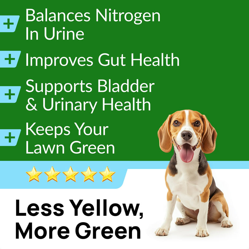 Green Grass Dogs Chews w/Probiotics - Prevent Urine Burning Grass - Pee Gras Spot Saver - Dog Urine Neutralizer for Lawn Treats, UT & Gut Health for Dogs, Lawn Burn from Dog Urine 120Ct