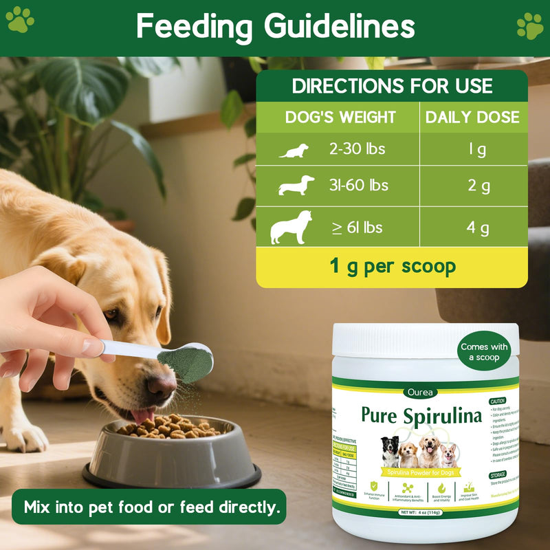 Organic Spirulina Powder for Dogs – Natural Superfood Supplement for Skin, Coat & Immune Health – 100% Pure Green Algae, No Fillers, No Additives, Boosts Energy & Vitality