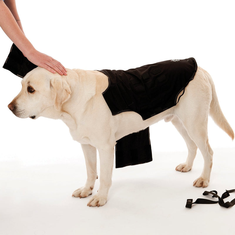 Company of Animals Anxiety Wrap, Black, Toy Sized - PawsPlanet Australia