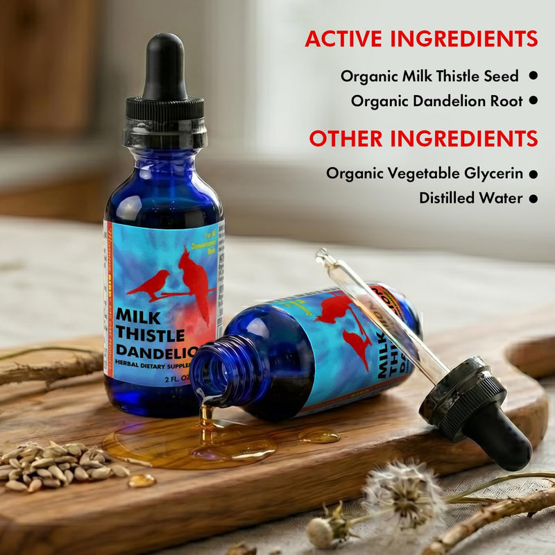 Morning Bird Milk Thistle & Dandelion Extract 2 fl oz – Organic Herbal Supplement for Birds – Supports Liver Health & Natural Detox – Suitable for All Bird Species