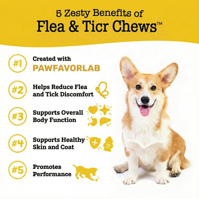 Tick Treatment Chews for Dogs - Natural Oral Prevention & Treatment with Garlic & Flaxseed - Chicken Flavor Soft Chews for All Ages - 200 Count